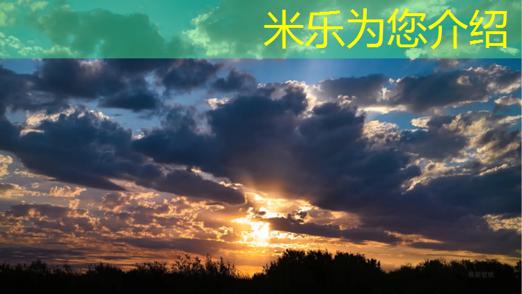 米乐：高档跑步机价格表