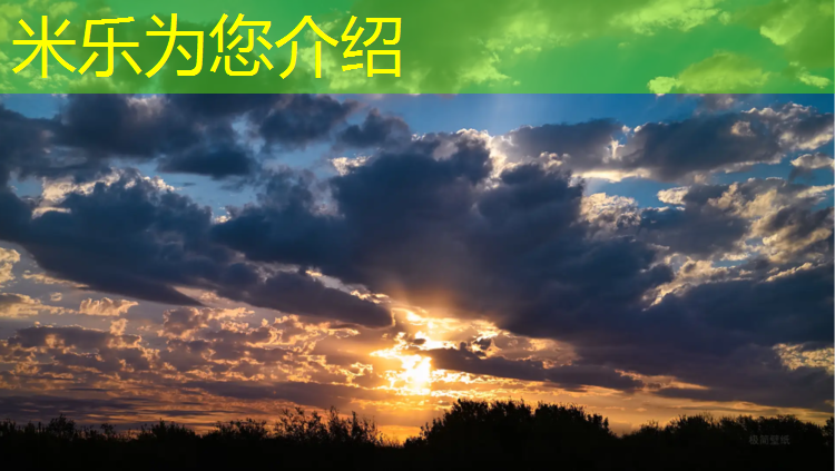 <strong>米乐m6官网登录入口为您介绍：临沂高尔夫塑胶跑道</strong>